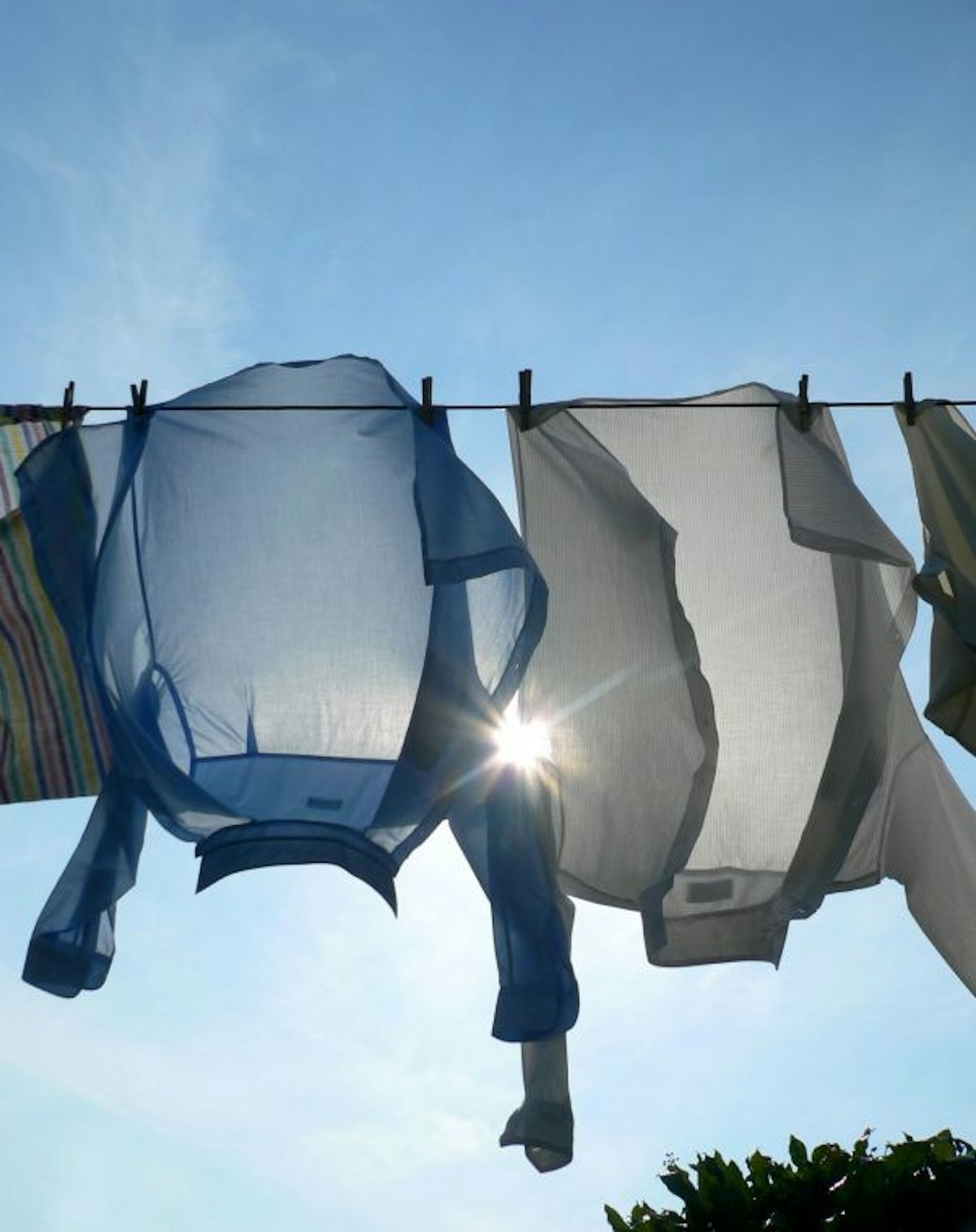 Investigating heat absorption — Science Learning Hub