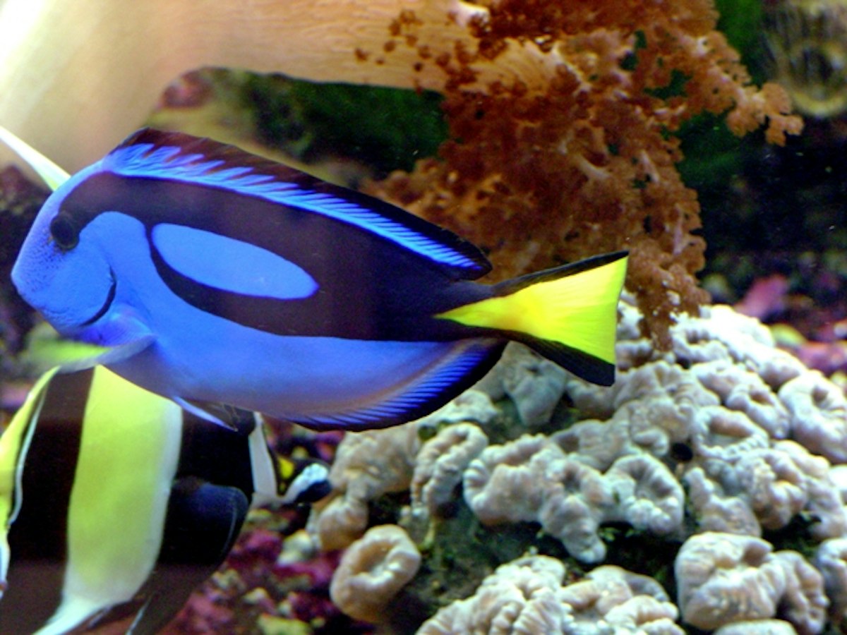 UV and fluorescence — Science Learning Hub