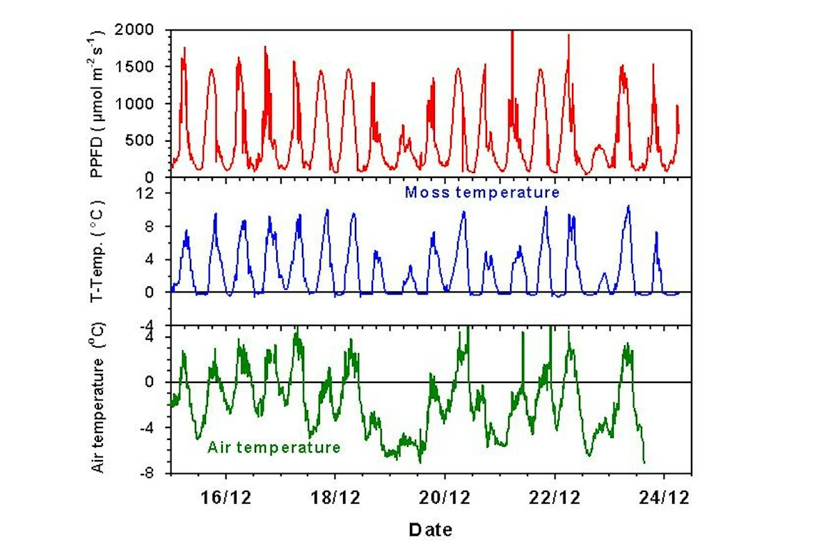 Air temperature table — Science Learning Hub