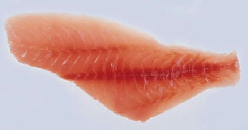 Fish Fillet Part Fish fillet — Science Learning Hub