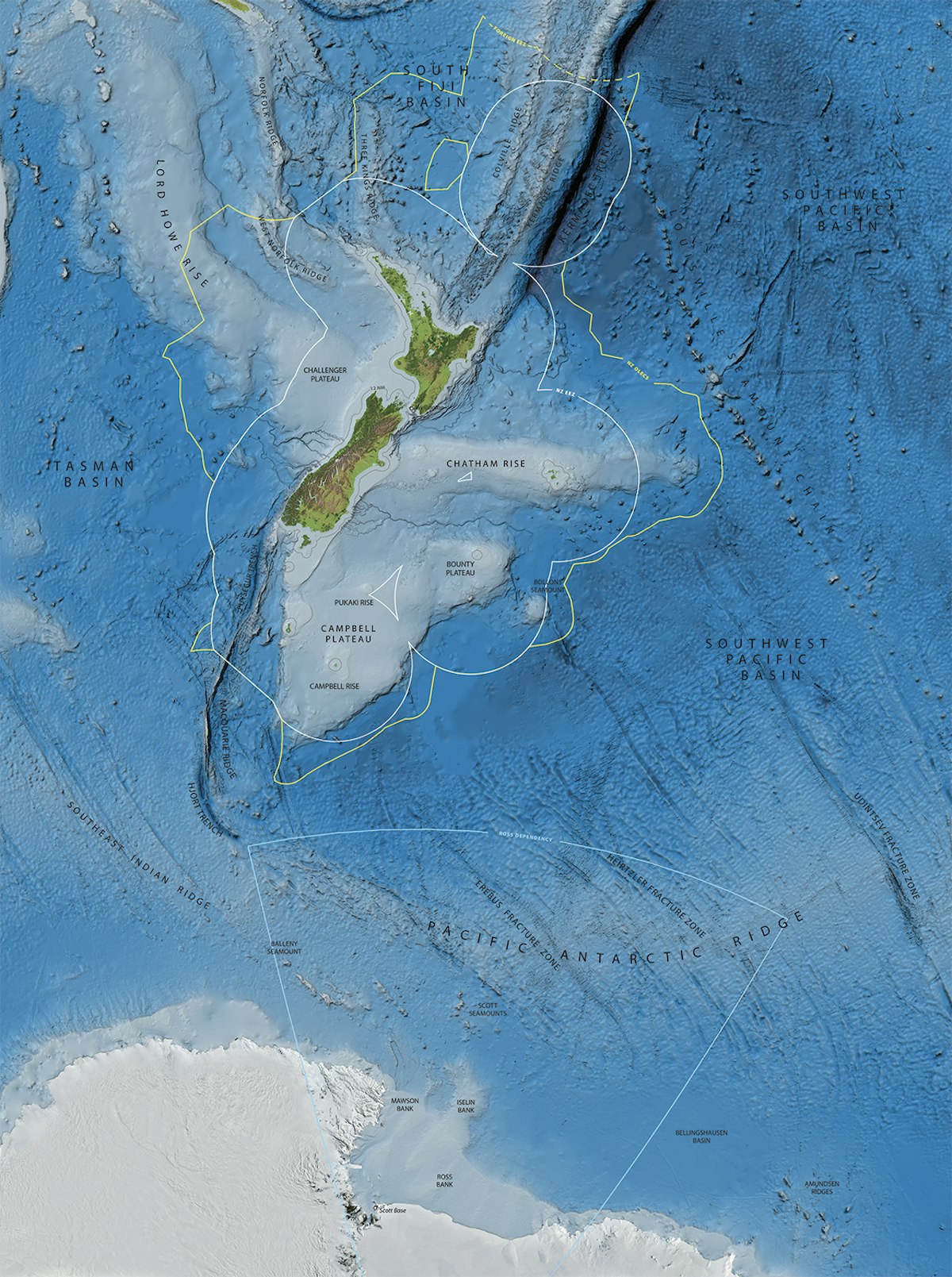 What’s in a name? — Science Learning Hub
