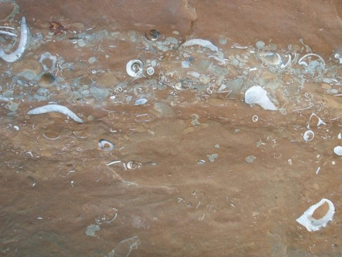 Rock formation — Science Learning Hub