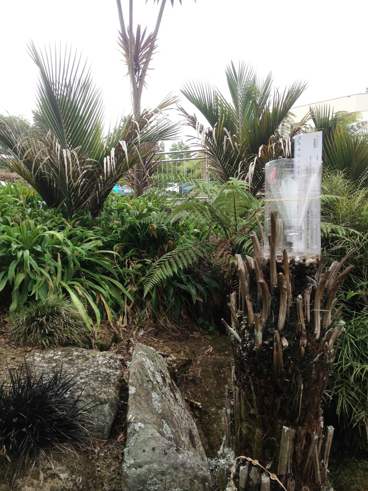 Making a rain gauge — Science Learning Hub