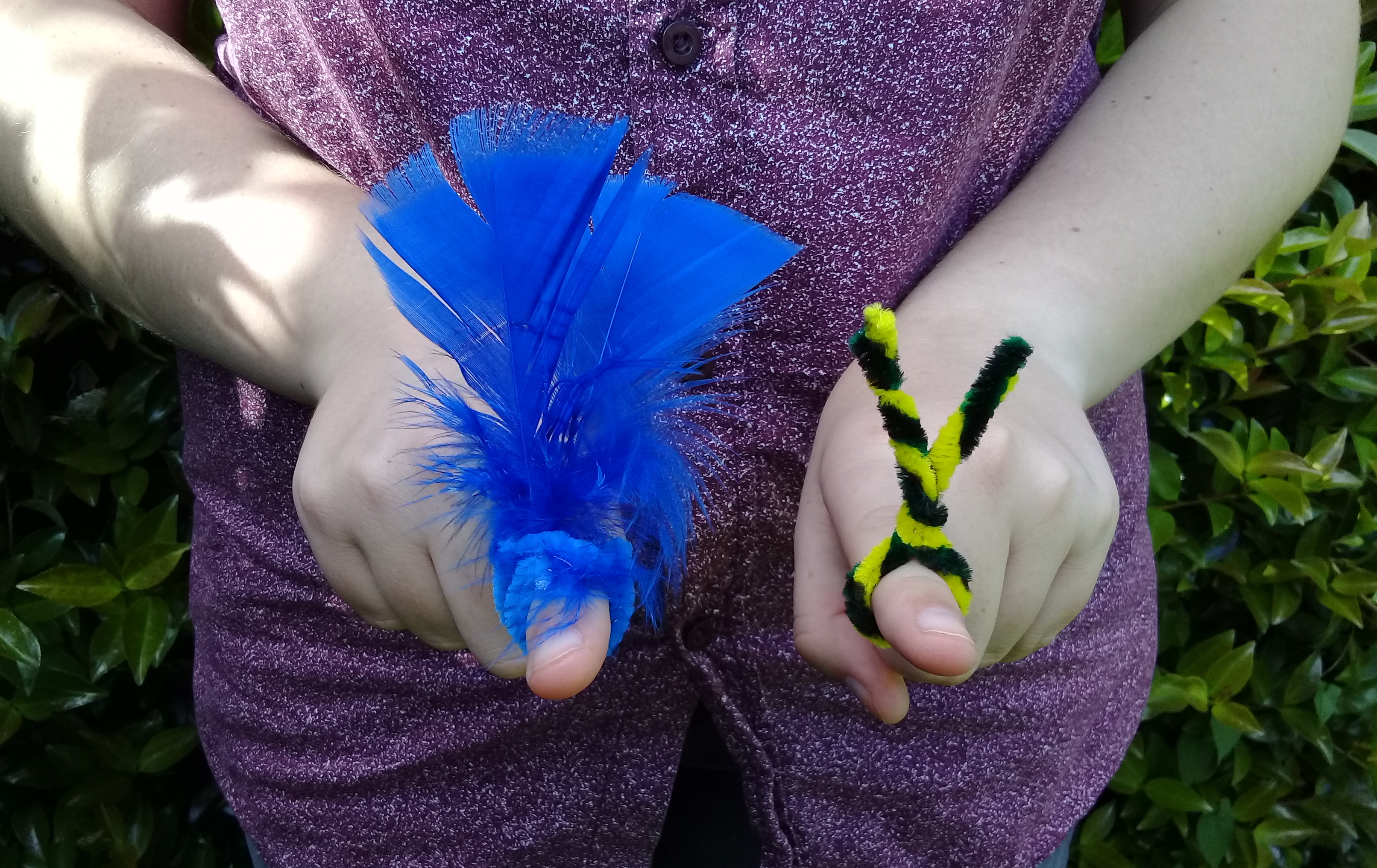 Pollination Role Play