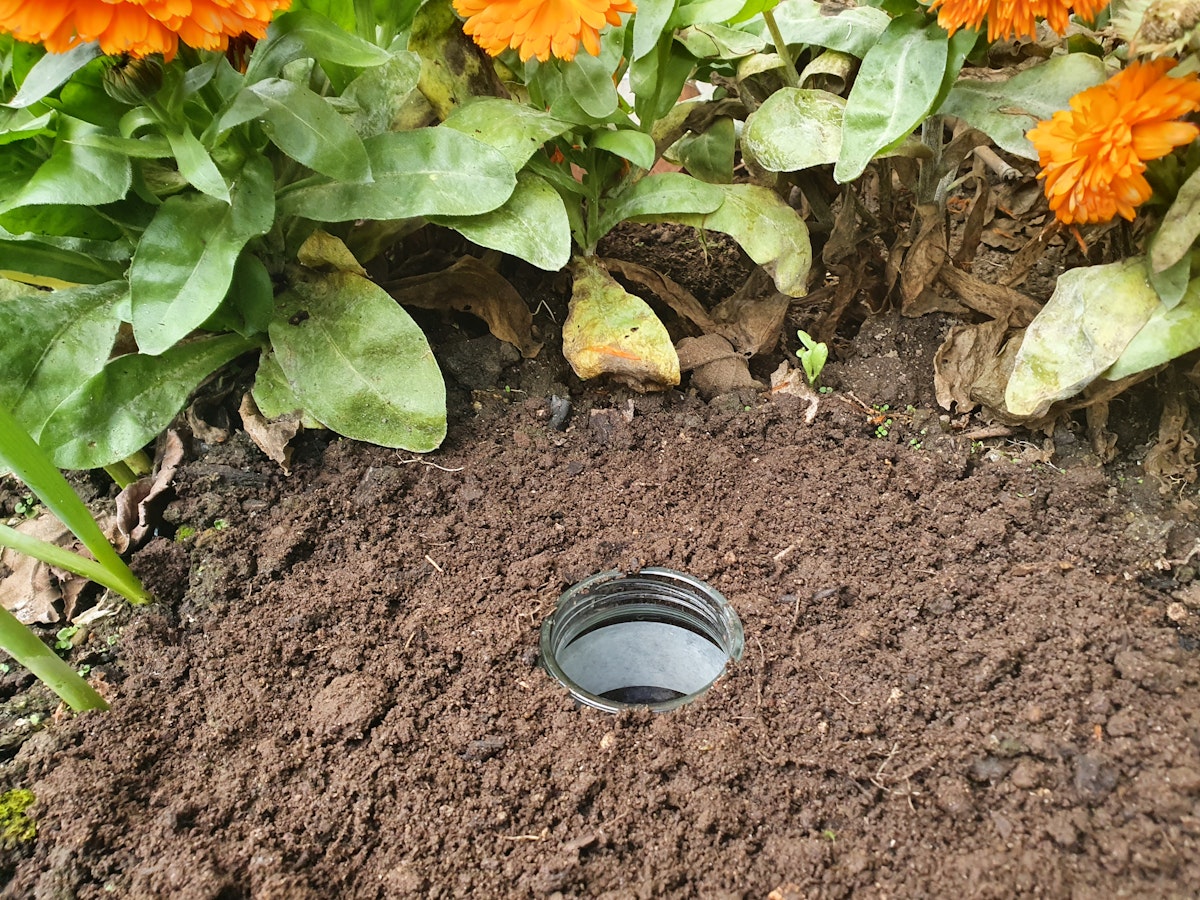 Pit Fall Insect Pitfall traps – monitoring ground-dwelling insects