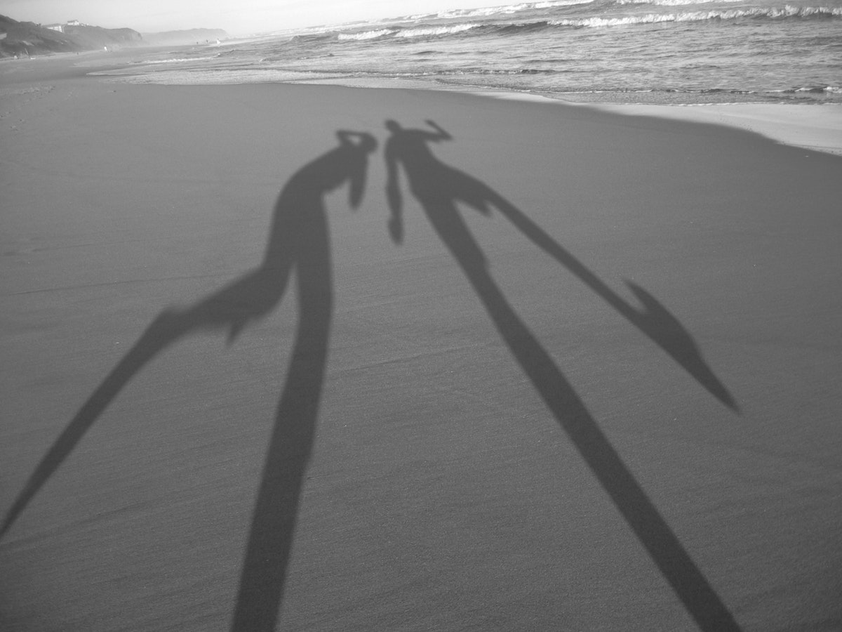 Light and shadows — Science Learning Hub