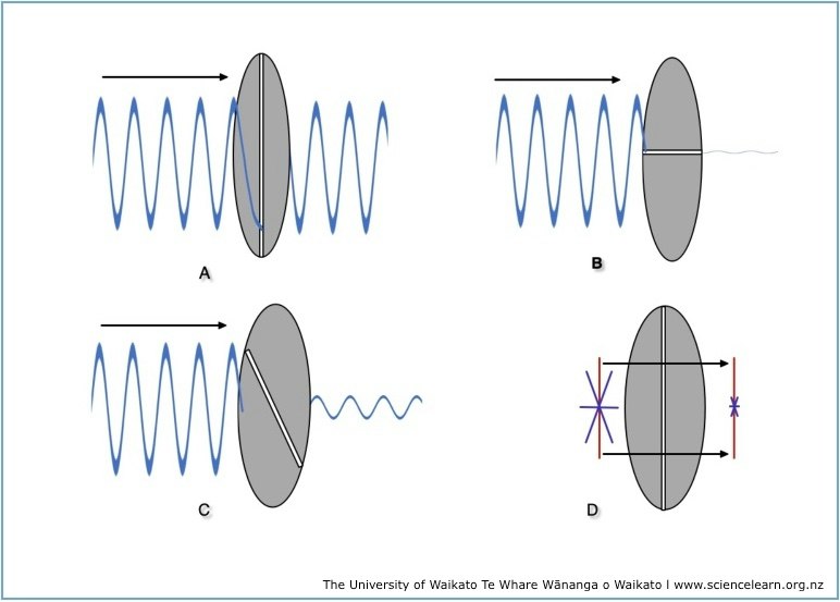 Filtering Light Wave Light wave passing through a polarising filter