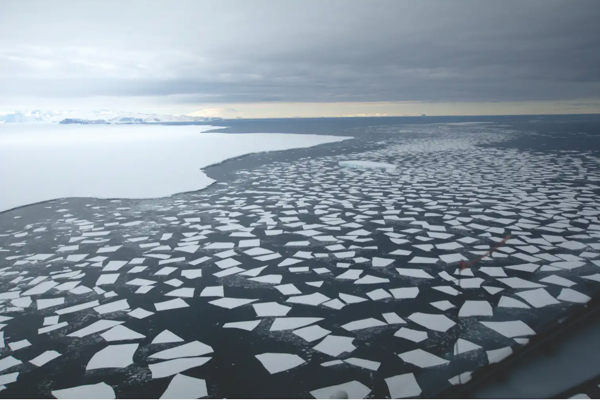 Sea ice on the Southern Ocean — Science Learning Hub