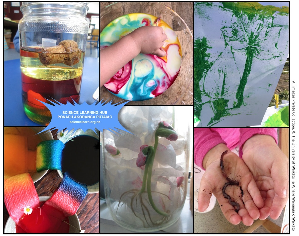 Exploring science in the early years — Science Learning Hub