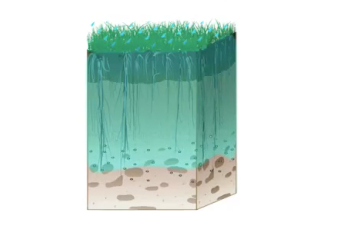 Leaching — Science Learning Hub