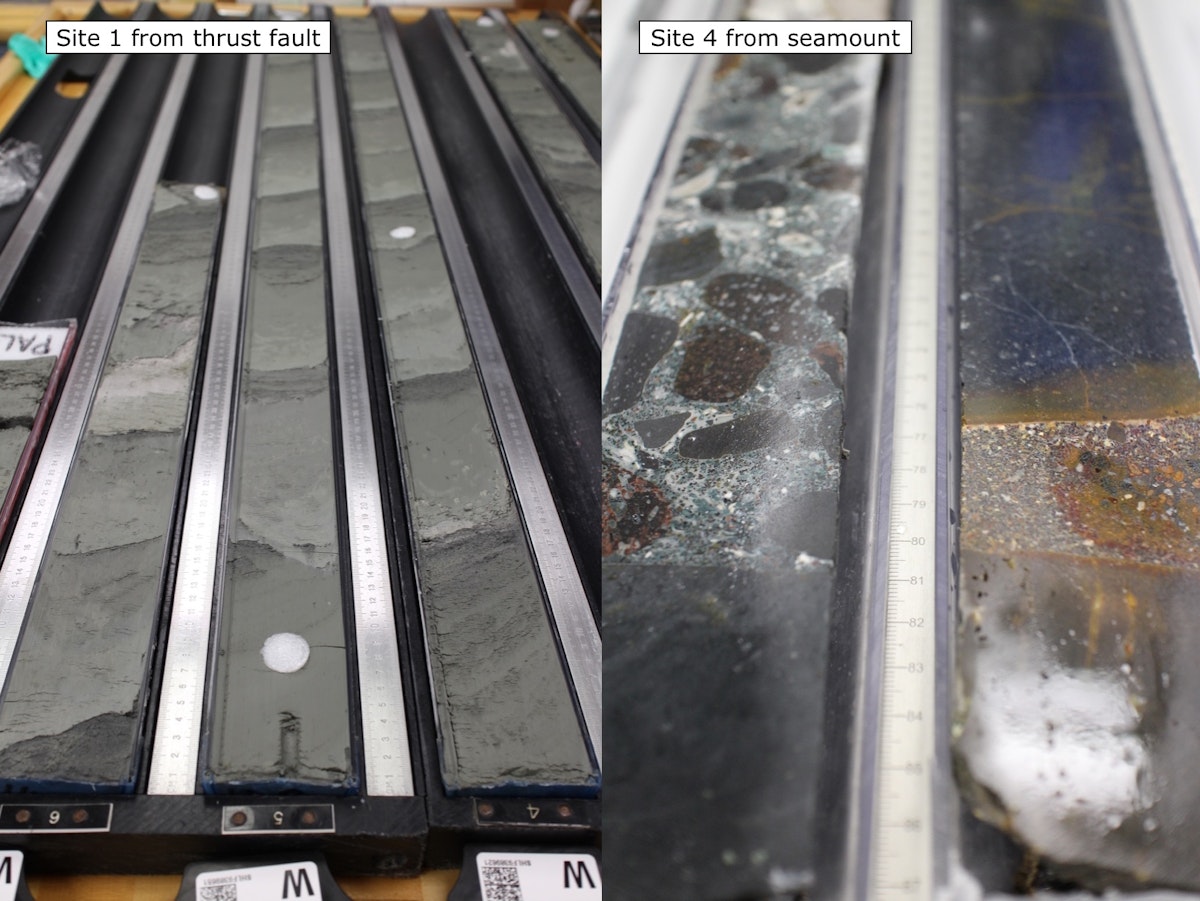 Core samples from sites 1 and 4 — Science Learning Hub