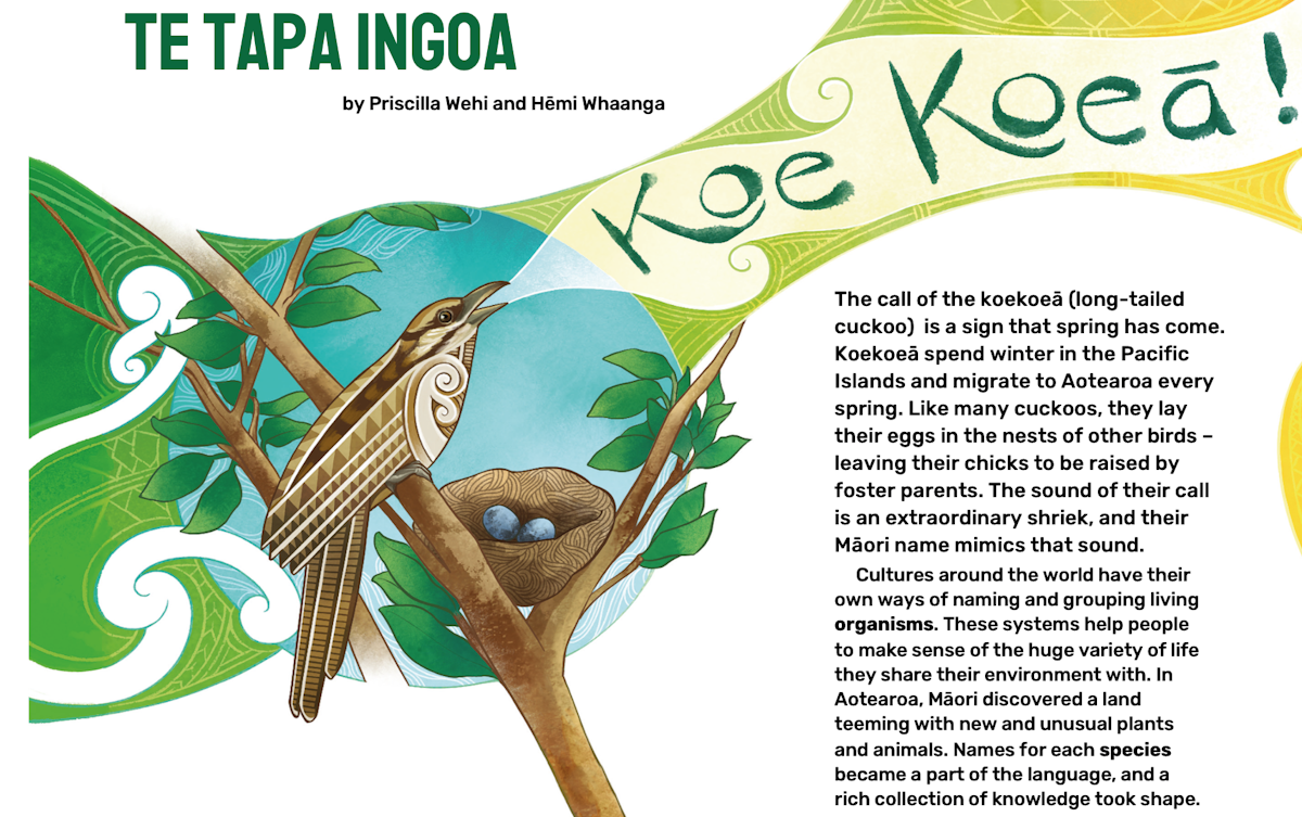 Te tapa ingoa — Science Learning Hub