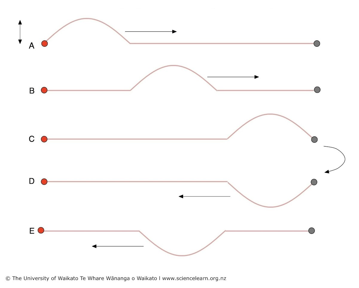 Single pulse travelling down a rope — Science Learning Hub