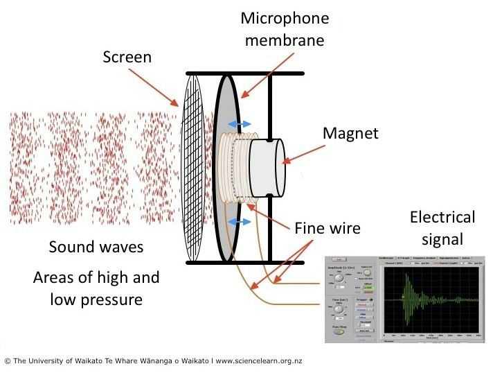 Sound Wave In Science Sound – visualising sound waves — Science Learning Hub