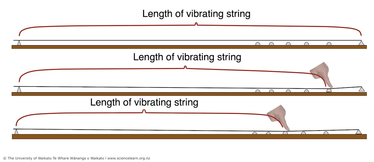 Lengths of vibrating strings — Science Learning Hub