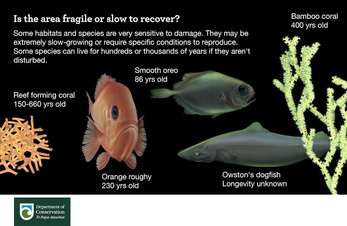 Vulnerable/fragile — Science Learning Hub