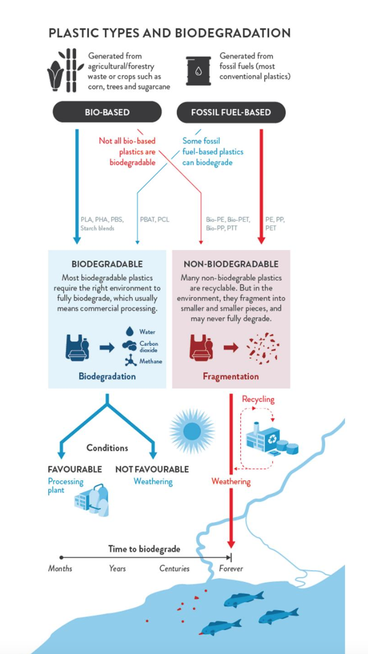 Plastic types and biodegradation — Science Learning Hub