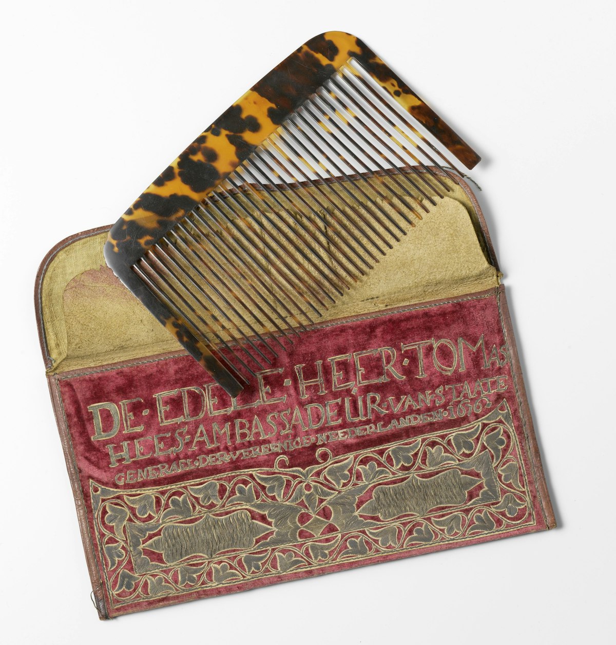 Tortoise-shell comb — Science Learning Hub