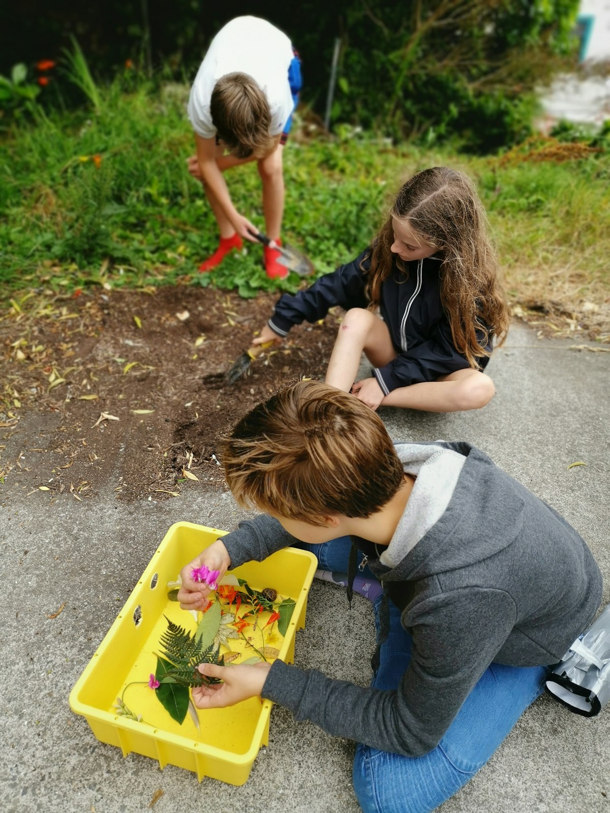 The importance of early nature connections