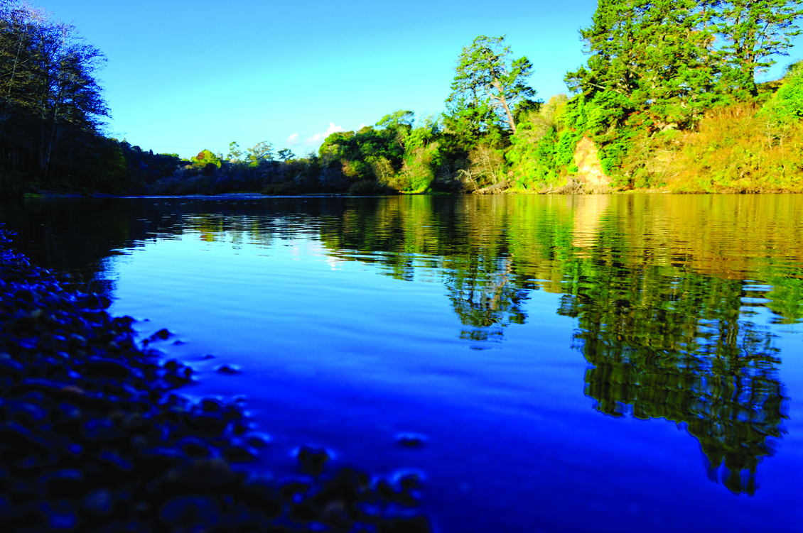 River ecosystems — Science Learning Hub