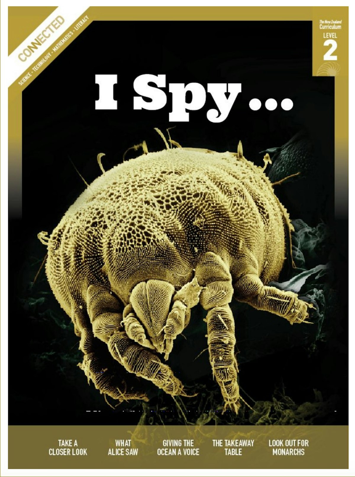2013 Connected level 2: I spy — Science Learning Hub