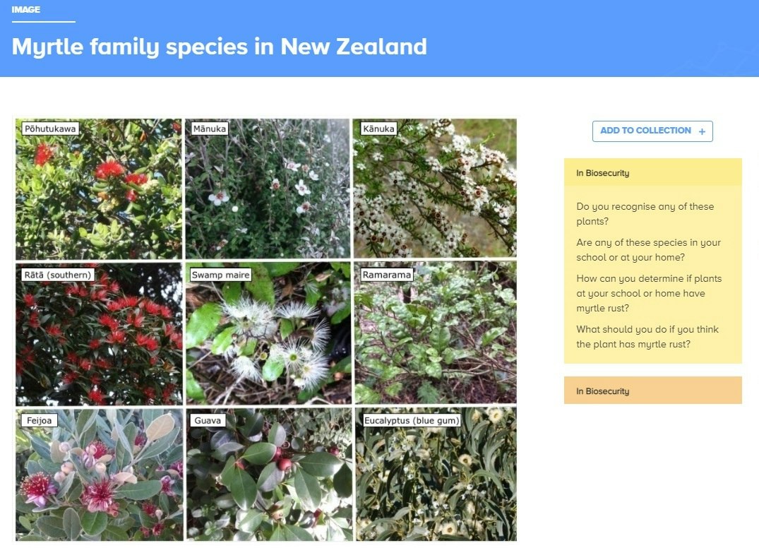 Howdnes Collection Note Collection note — Science Learning Hub