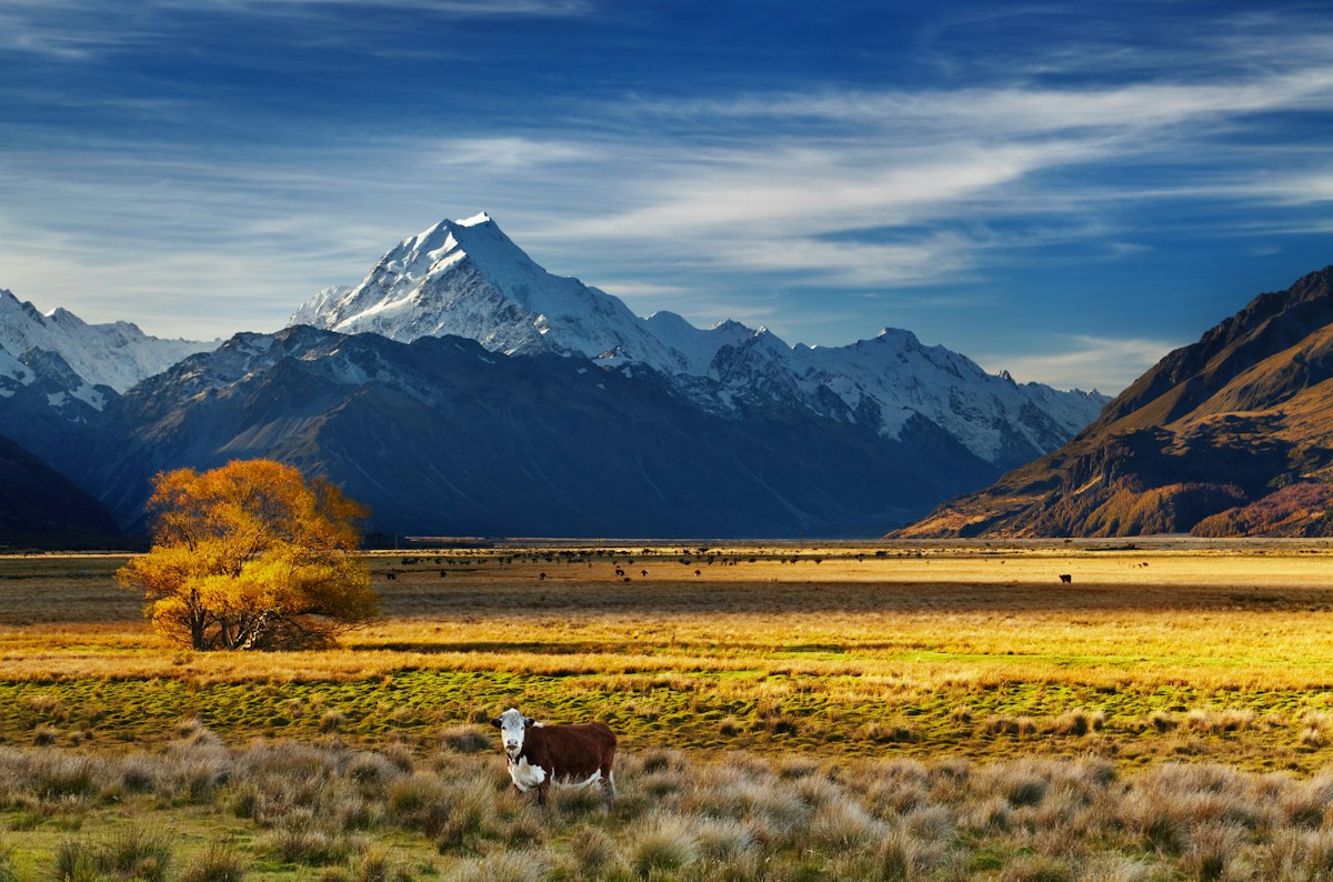 Waitaha – Canterbury — Science Learning Hub