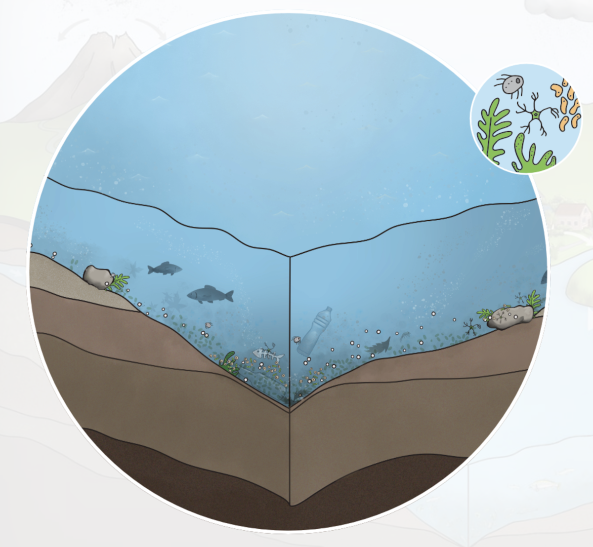 Lake inputs — Science Learning Hub