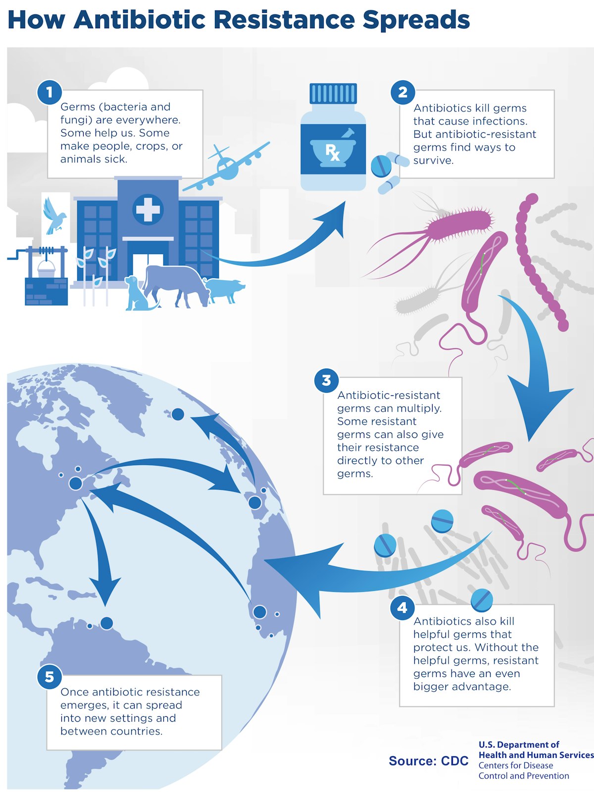 AMR – mechanisms and spread — Science Learning Hub