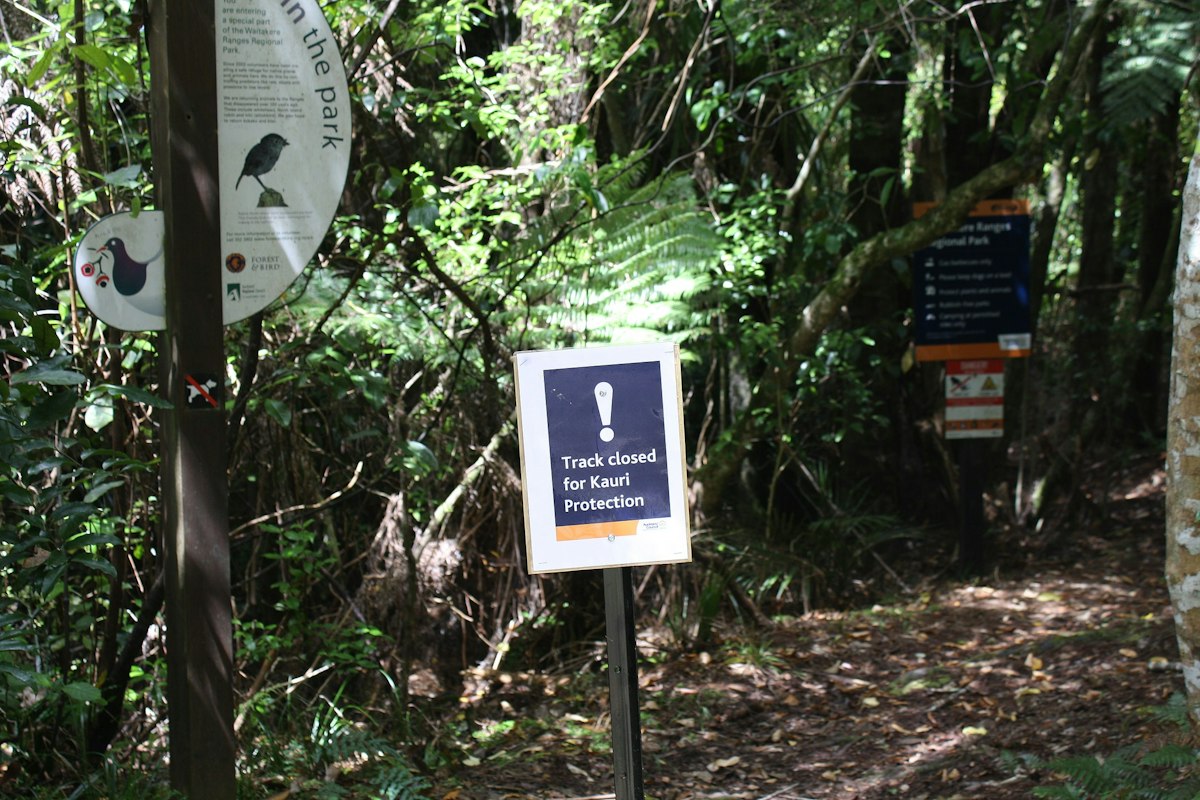 Taking action for our birds — Science Learning Hub