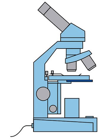Label the microscope — Science Learning Hub