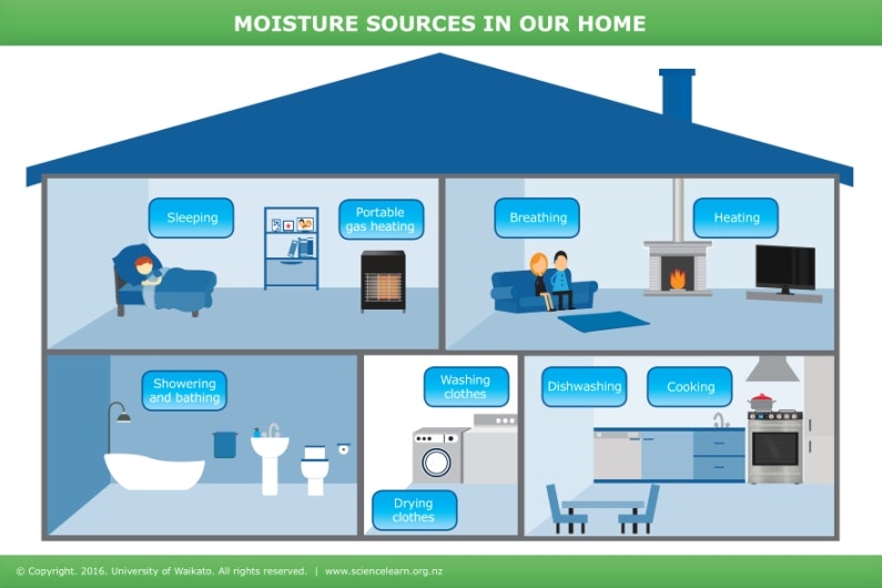How To Find Moisture In House