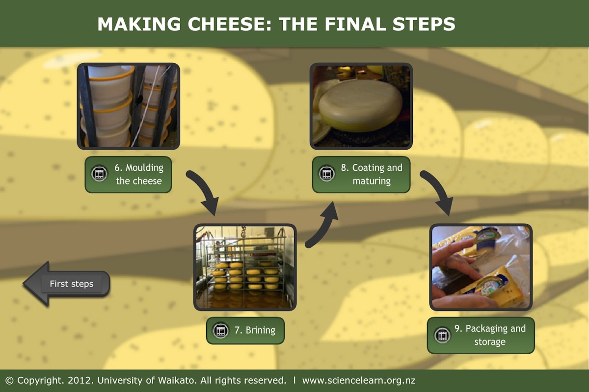 Making cheese - the final steps — Science Learning Hub