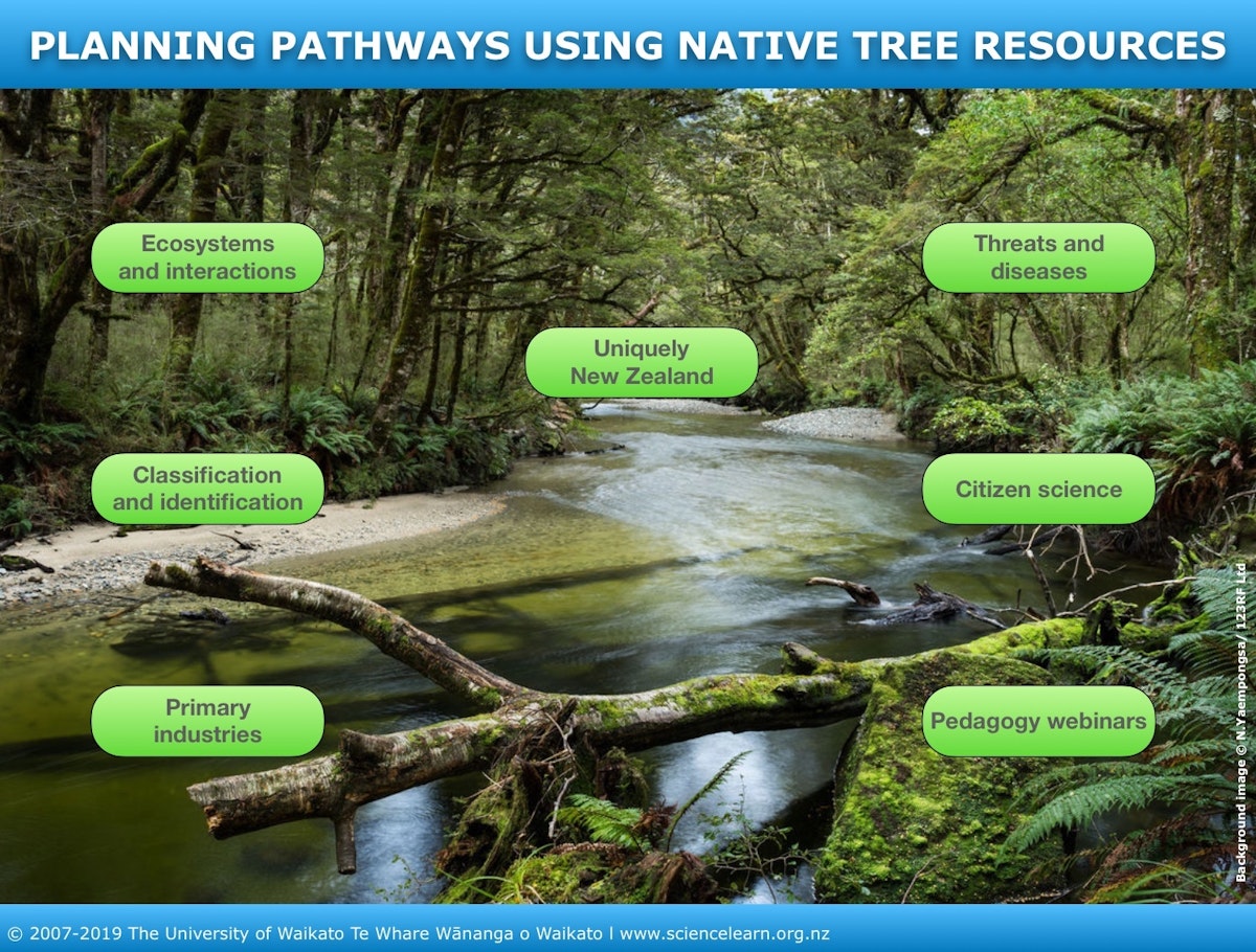 Planning pathways using native tree resources