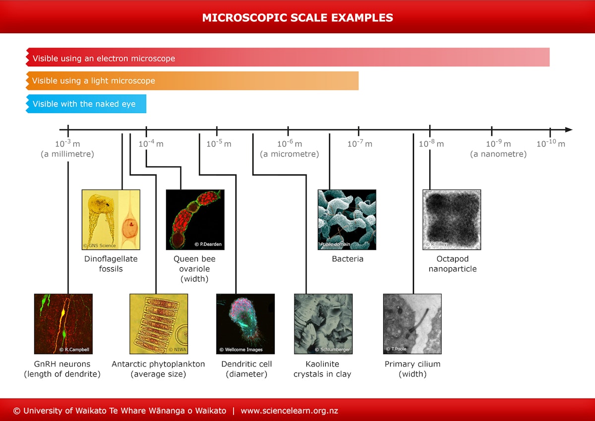 Magnification and resolution – key concepts