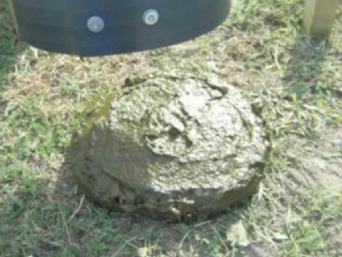 Chemical approaches to detecting poo — Science Learning Hub