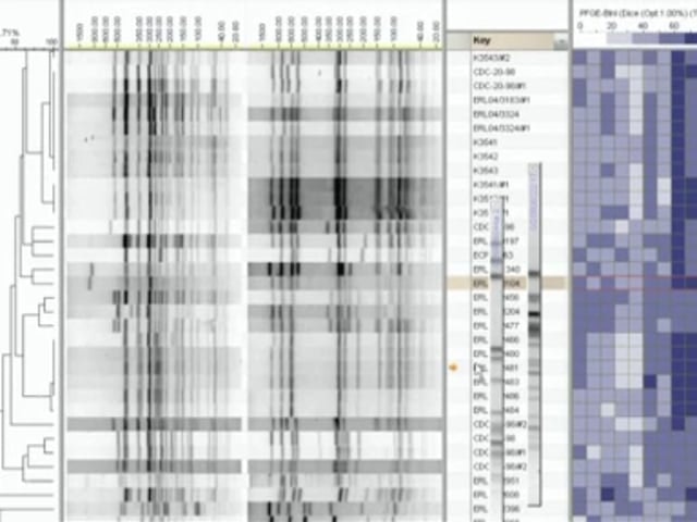 What is PulseNet? — Science Learning Hub