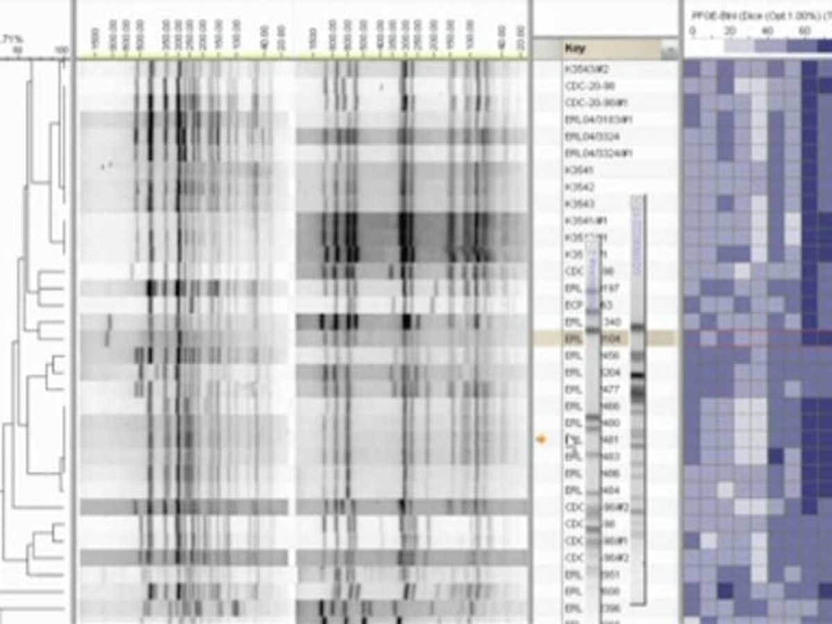 What is PulseNet? — Science Learning Hub