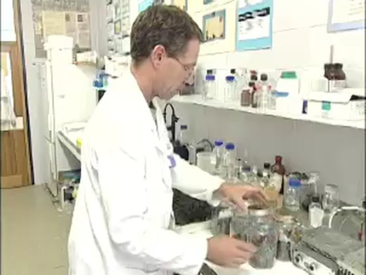 The advantage of using worms — Science Learning Hub