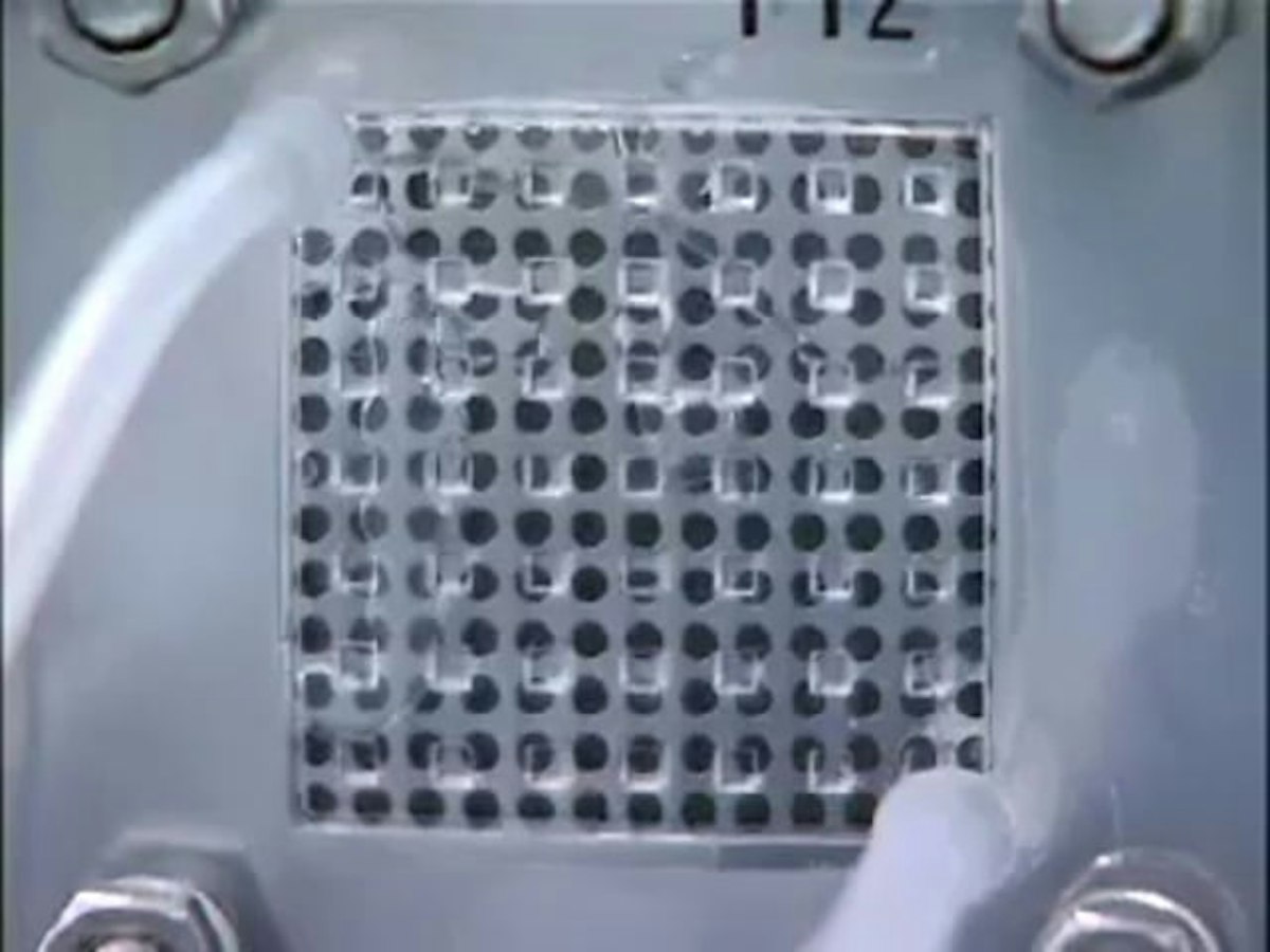 What is an electrocatalyst? — Science Learning Hub