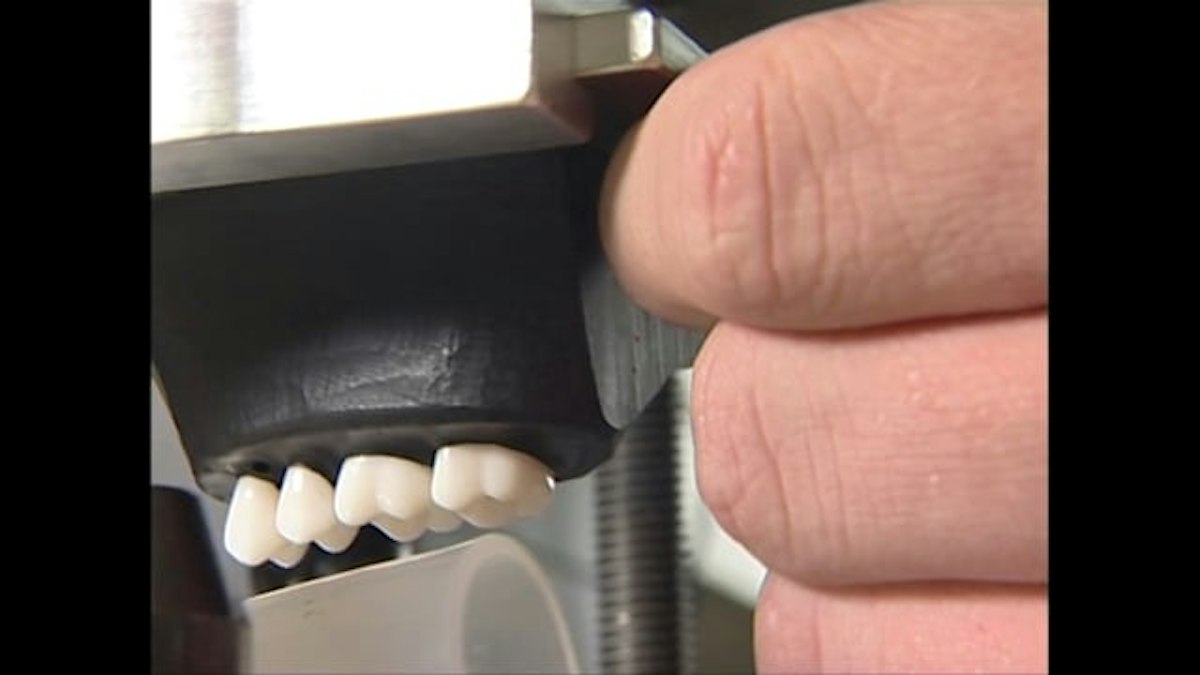 A chewing machine — Science Learning Hub
