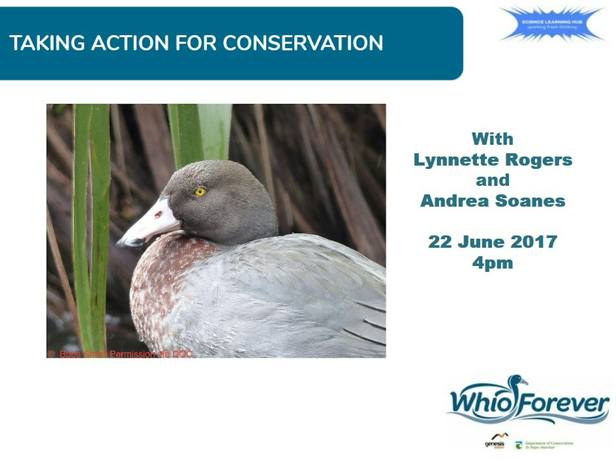 Taking action for conservation – slideshow