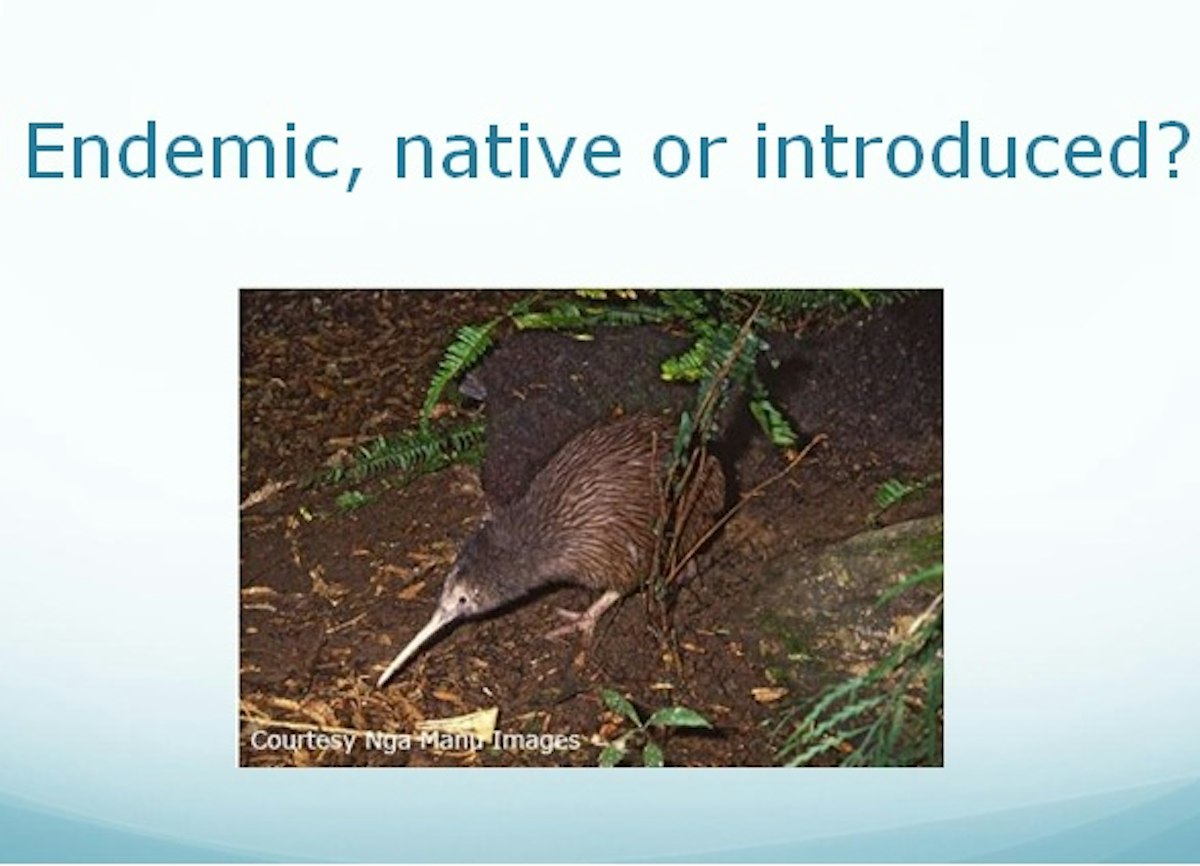 Endemic, native or introduced? – slideshow