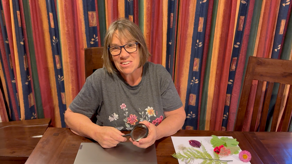 Using magnification tools — Science Learning Hub