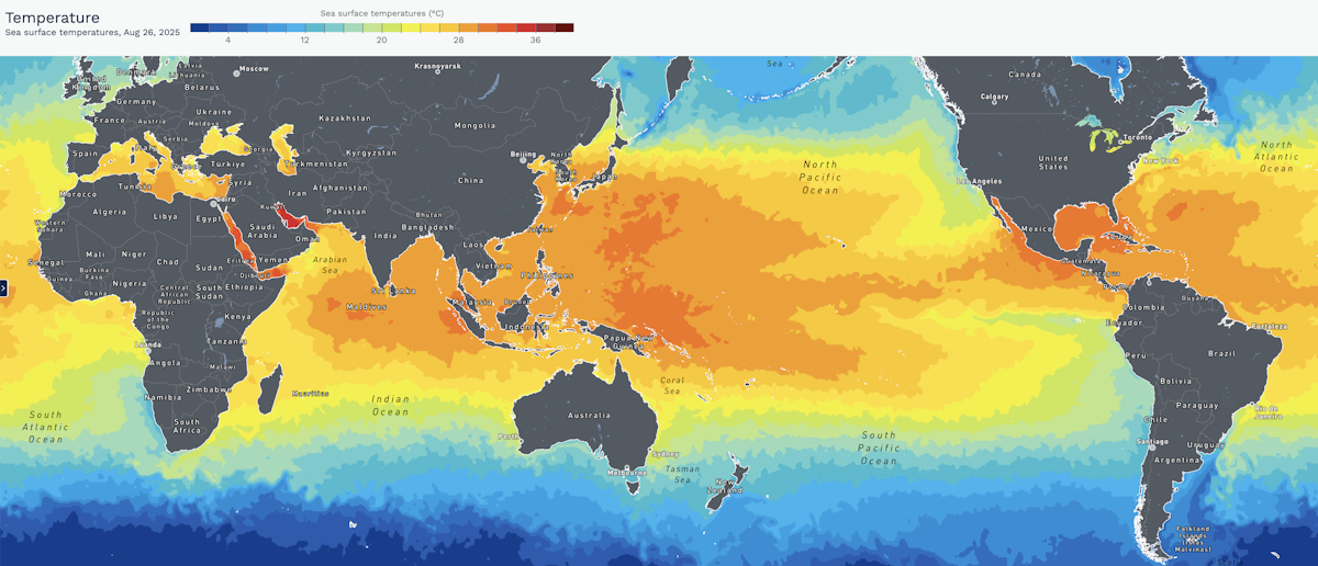 Sea Surface Temperature Science Learning Hub sea-surface-temperature-science-learning-hub