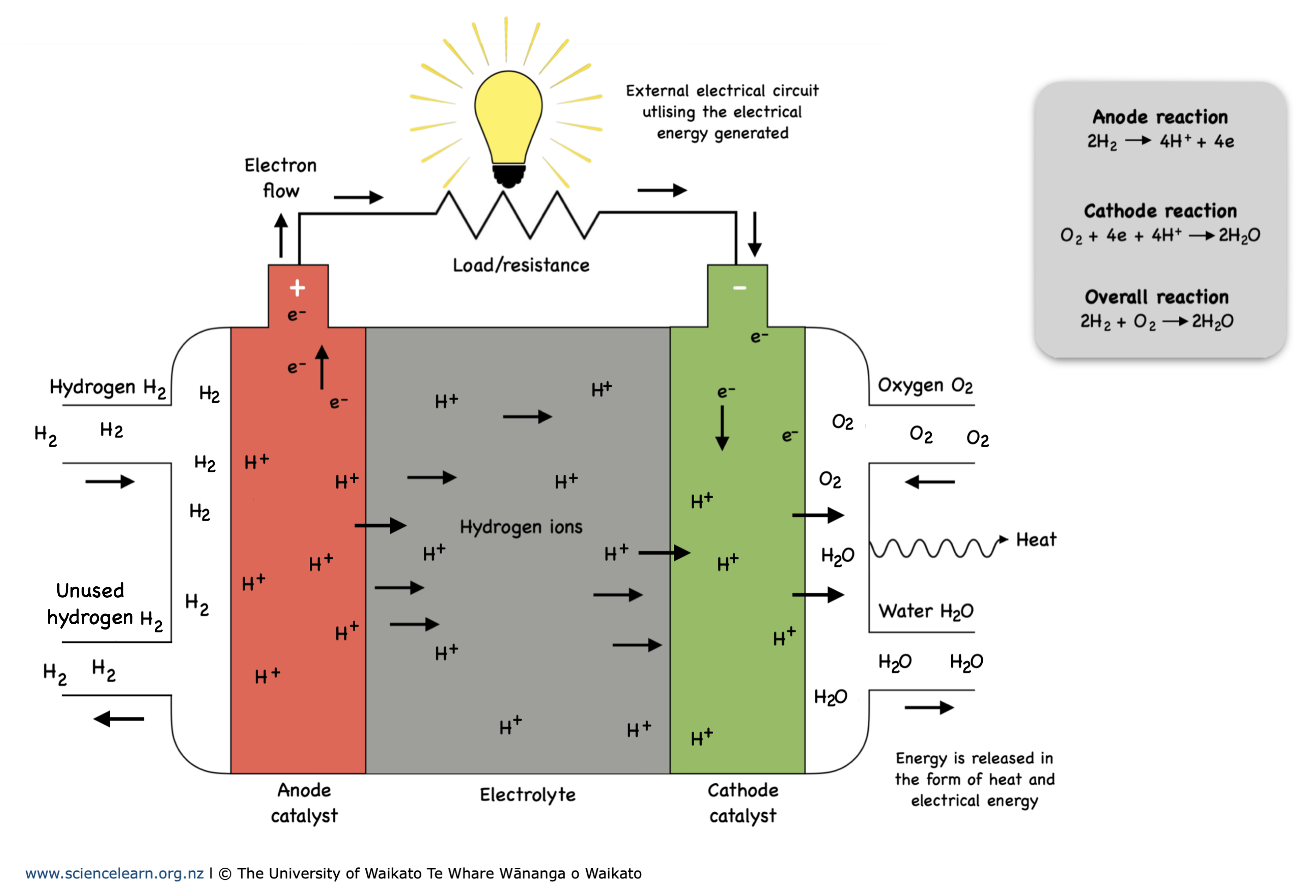 Anode Science Electrochemistry Fuel Cell Chart Anode Cathode