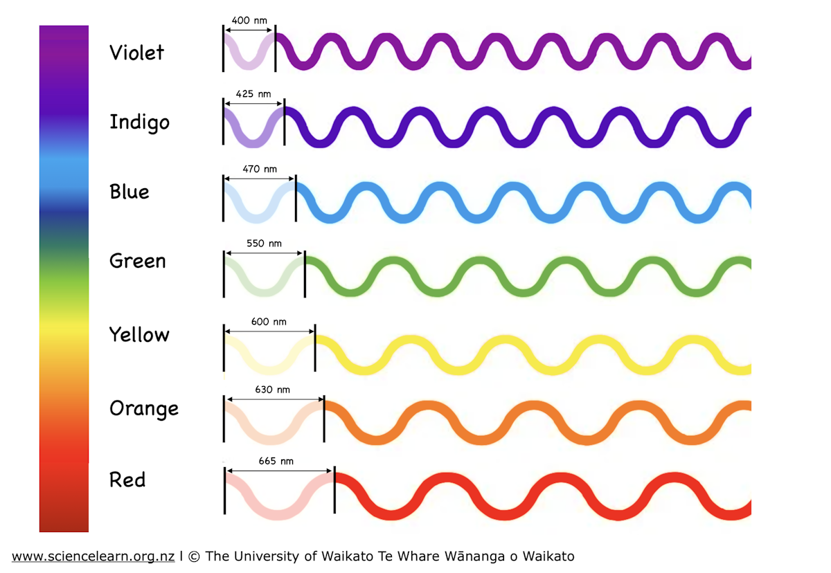 Fortication Spectrum Visual The visible spectrum — Science Learning Hub