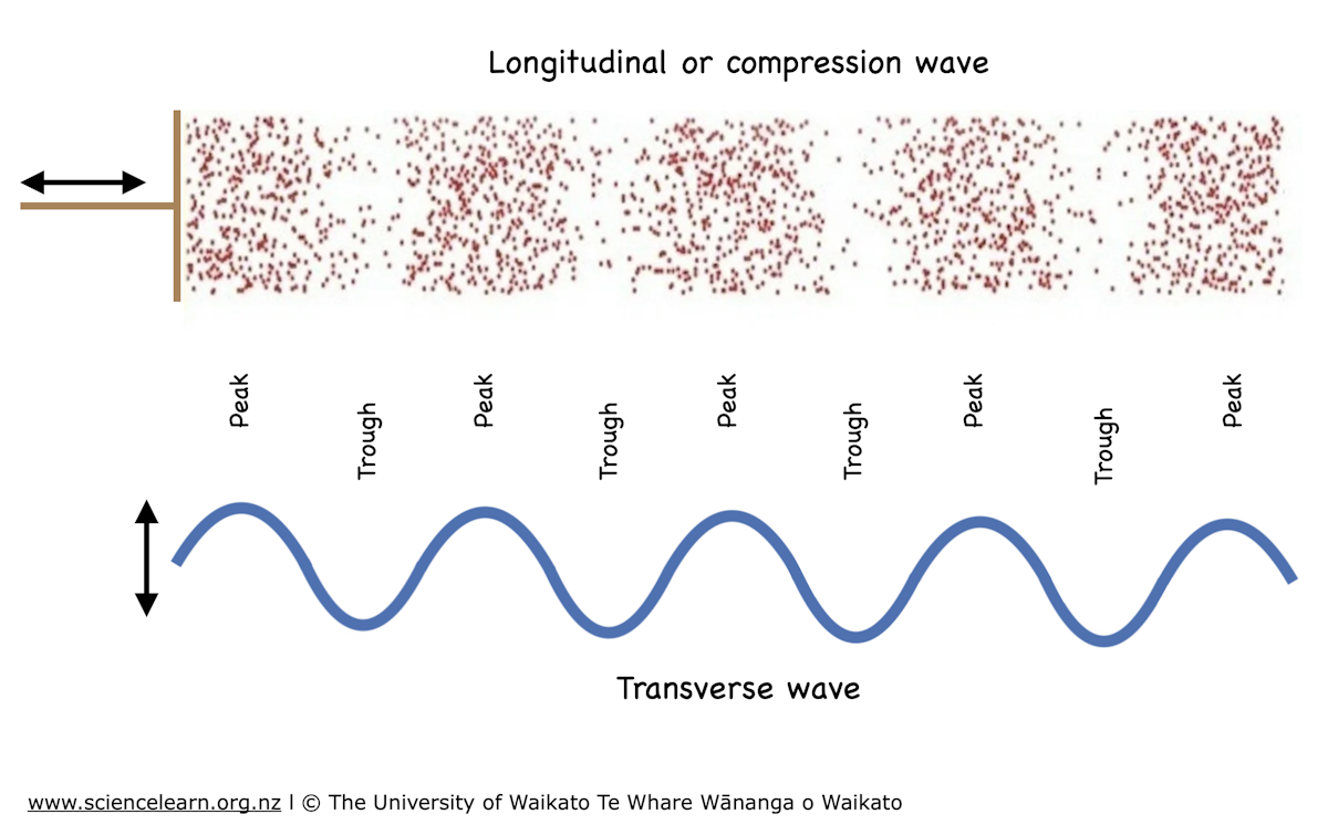 Profiling Longitudinal Wave Longitudinal and transverse waves — Science Learning Hub