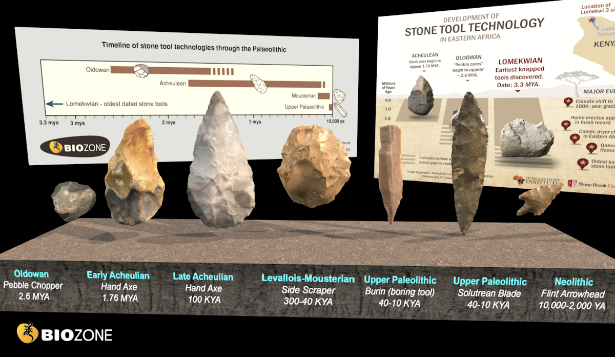 Palaeolithic stone tools — Science Learning Hub