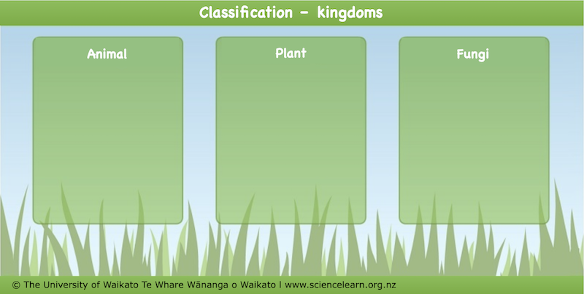 Classification – kingdoms — Science Learning Hub